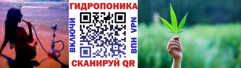ЭКСТАЗИ Архангельск